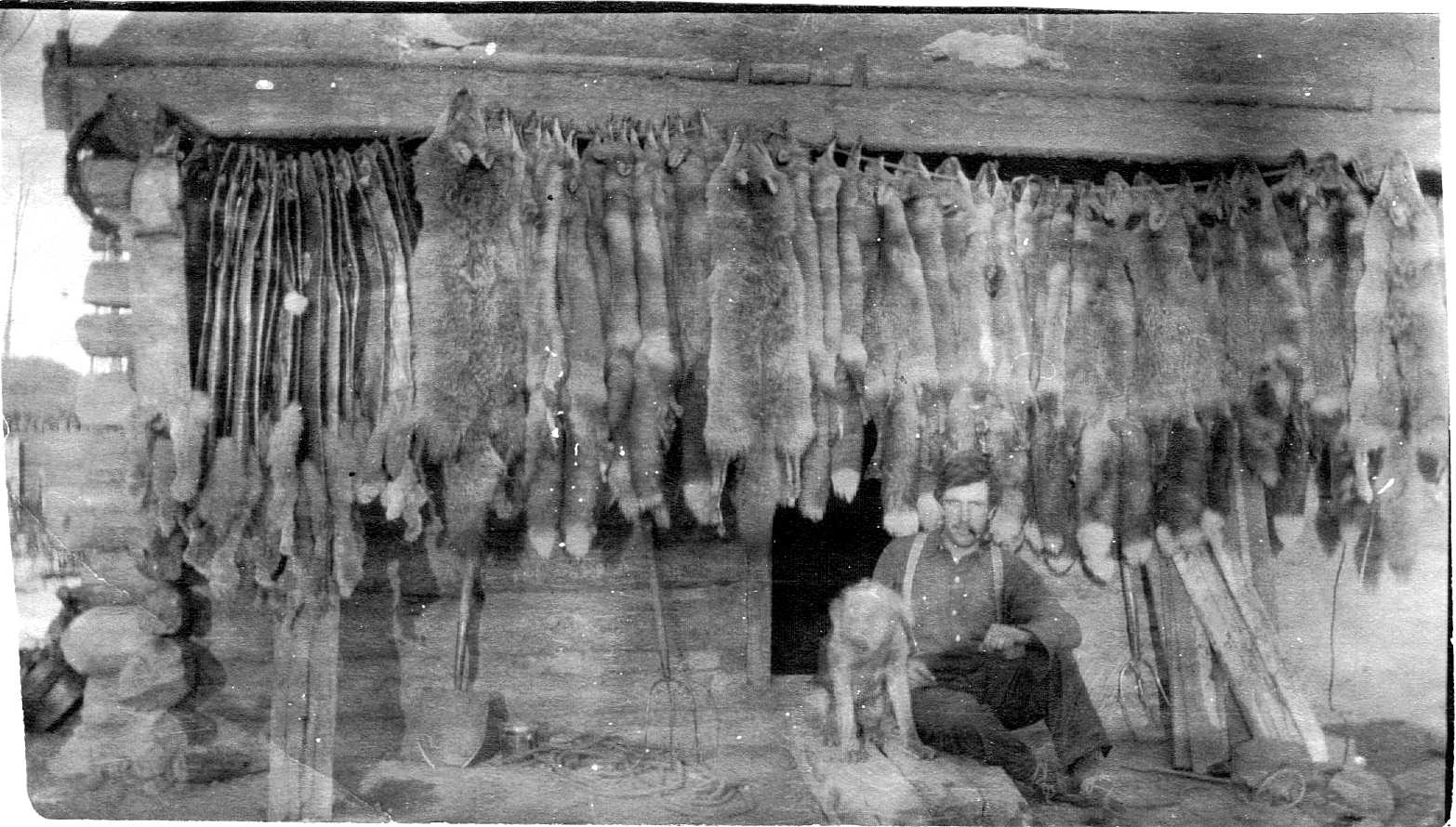 Photo of Aimé Brooks in front of Peace River Log Cabin with Furs Hanging as a Backdrop